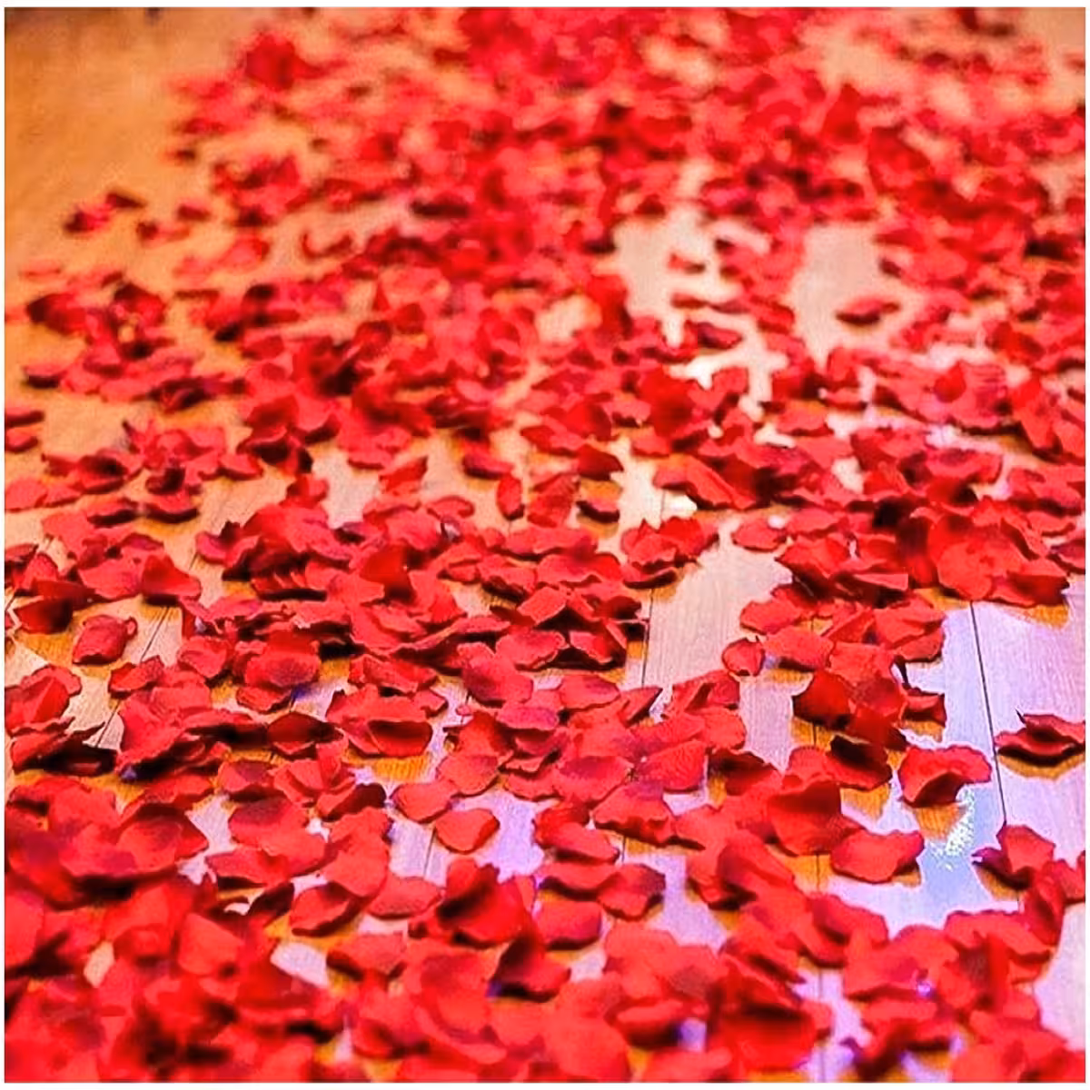 Pétalas de rosas artificiais vermelhas ideais para decoração romântica de Valentine’s Day